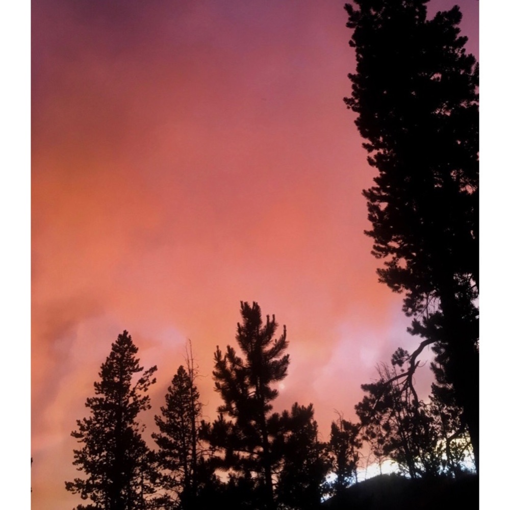 Meet your Posher, Charlotte